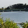 Old stormwater pipes at Botany Swamps swimming hole